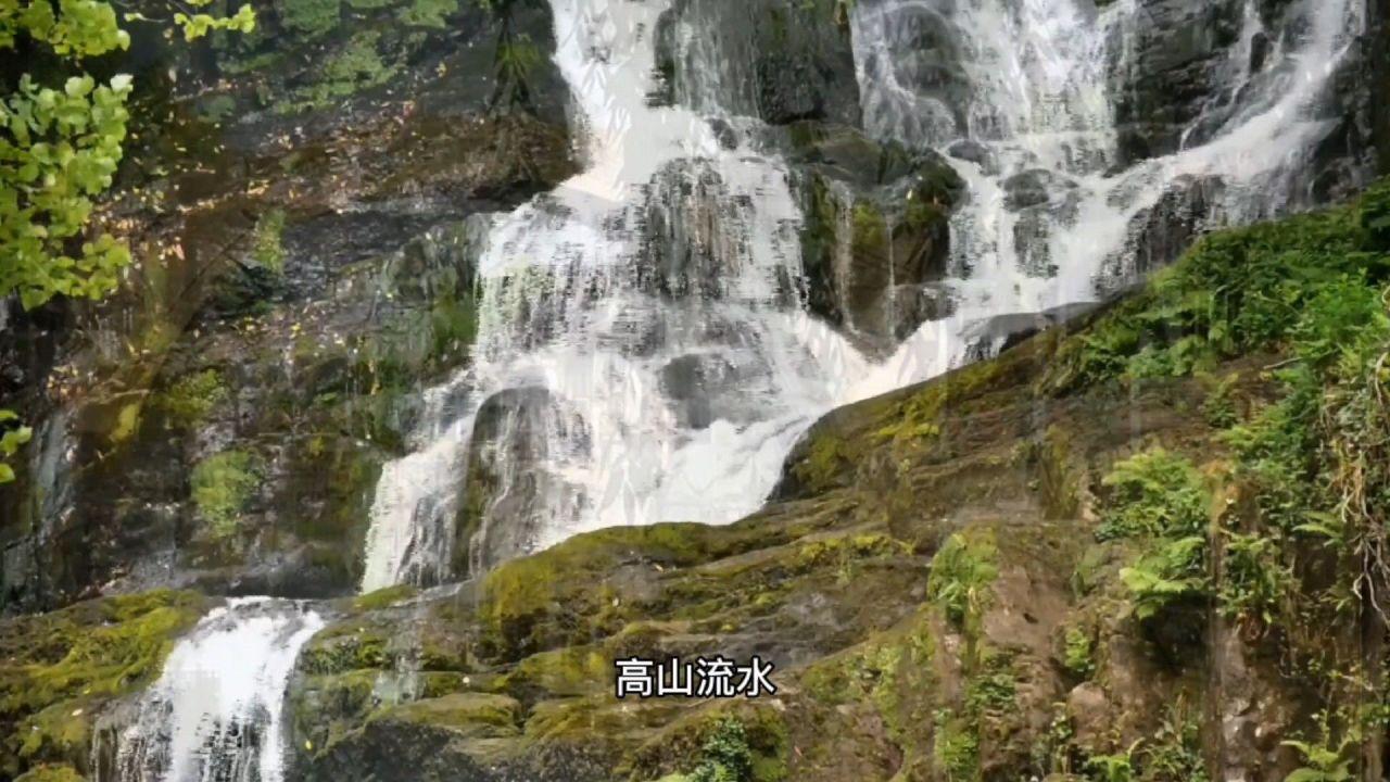 无忧国际wy6999